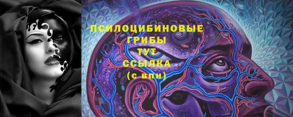 гашик Алзамай