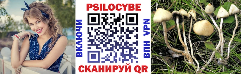 Галлюциногенные грибы ЛСД  Ардатов 